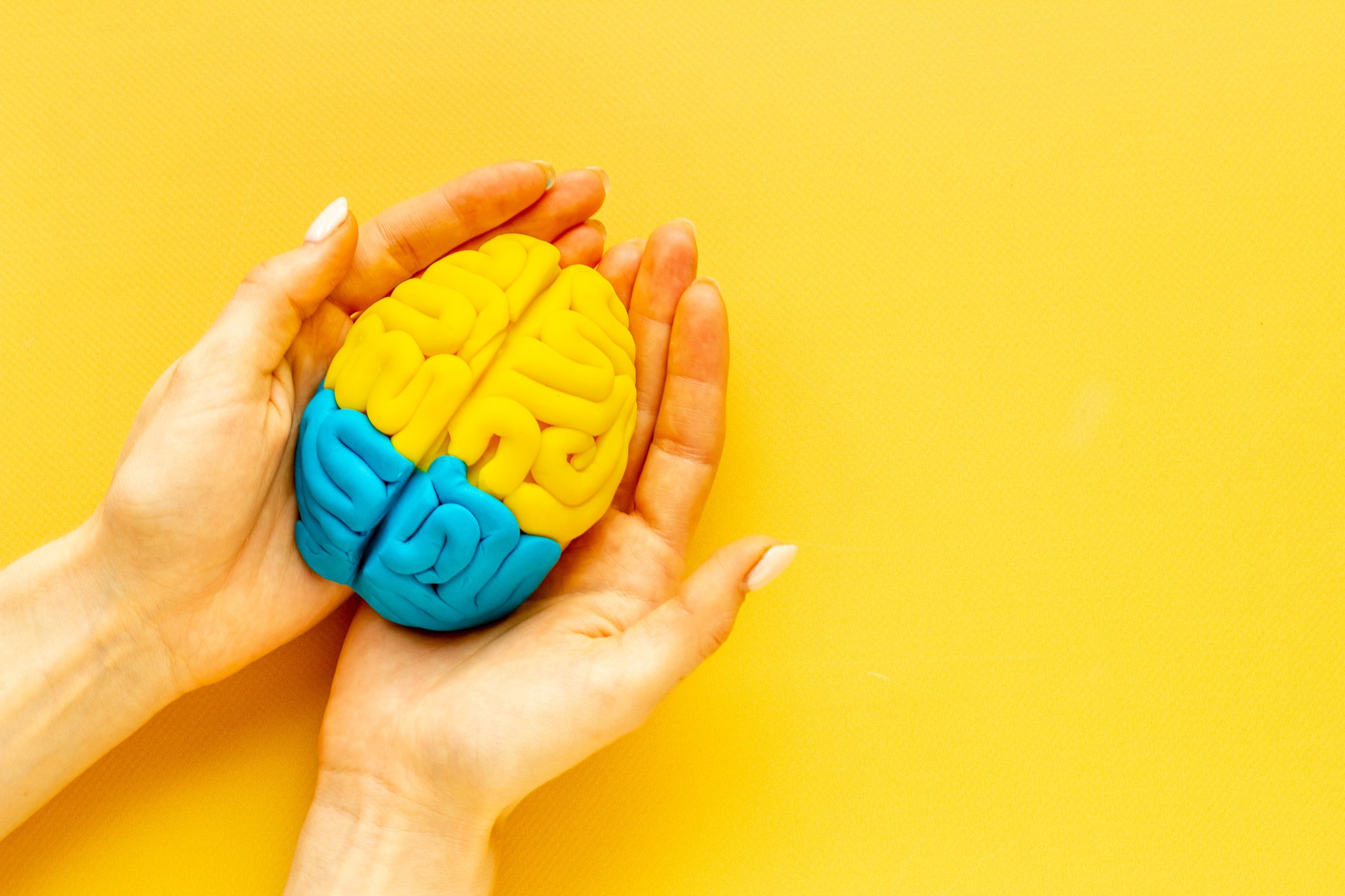 Mindfulness concept. Human brain model in hands, top view